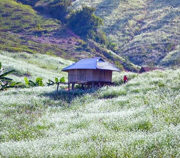 Bản Pa Phách